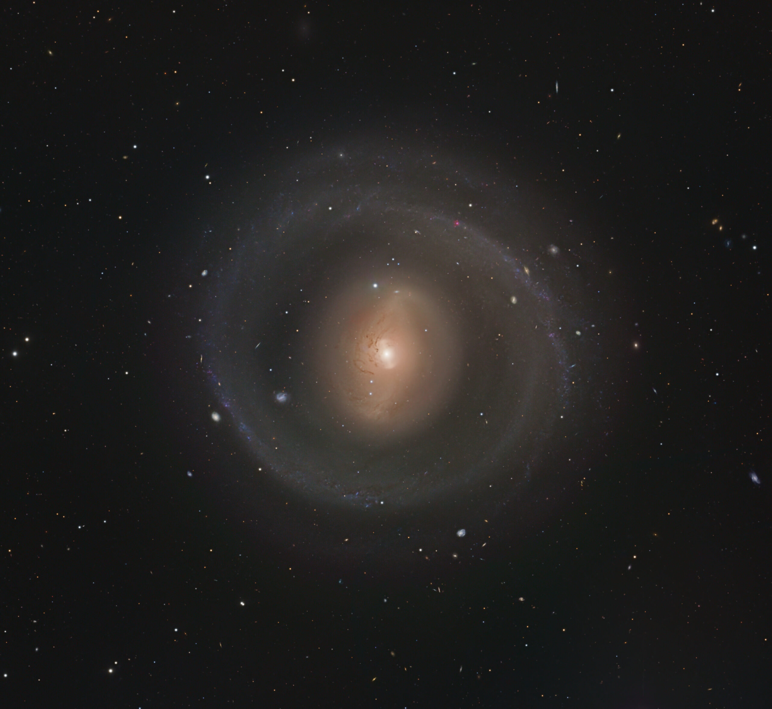 NGC 1291