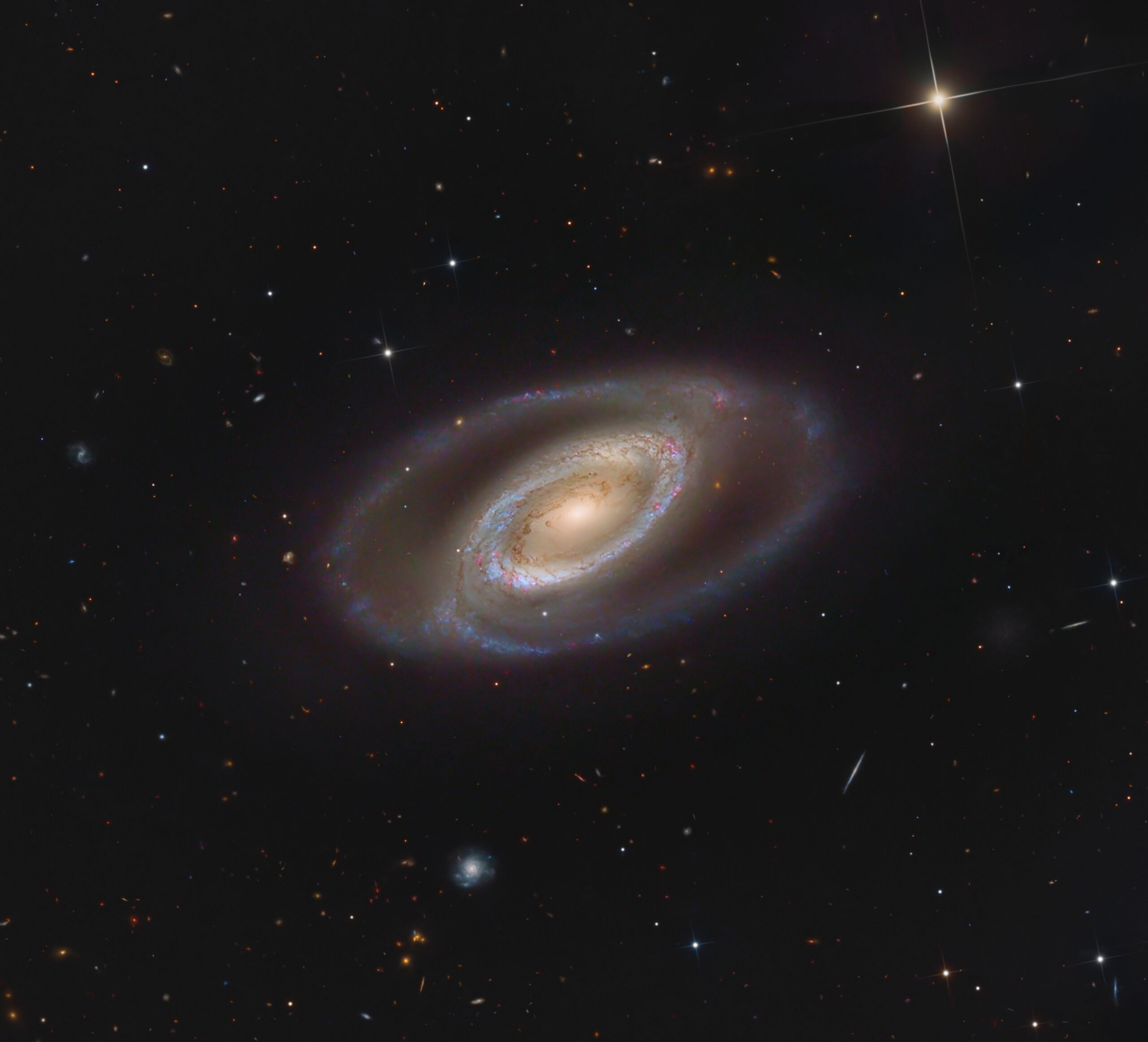 NGC 1350
