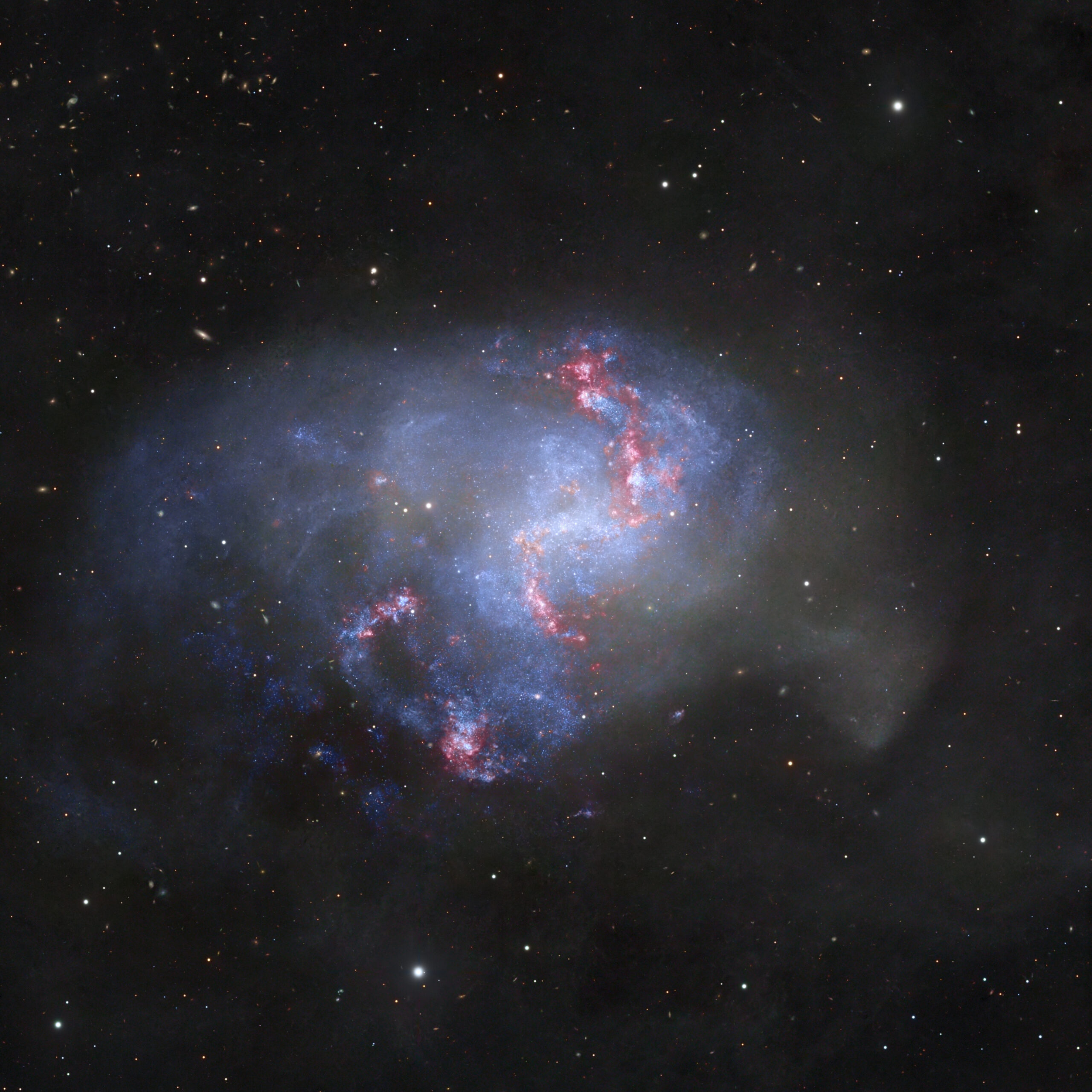 NGC 1313